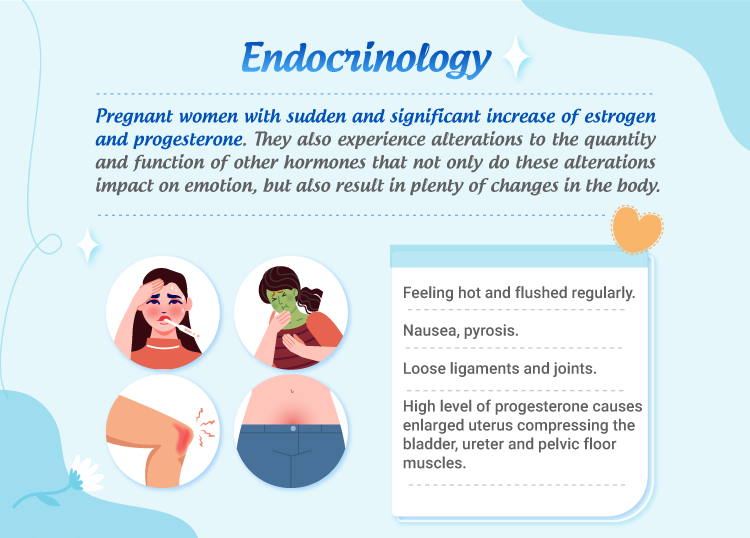 Nguy cơ và biện pháp khi Progesterone bất thường